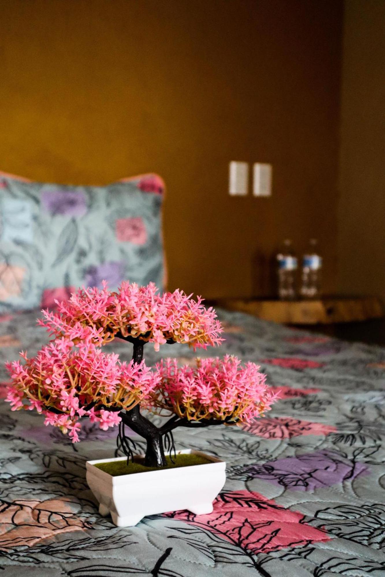Playa Sayulita Hotel Екстериор снимка
